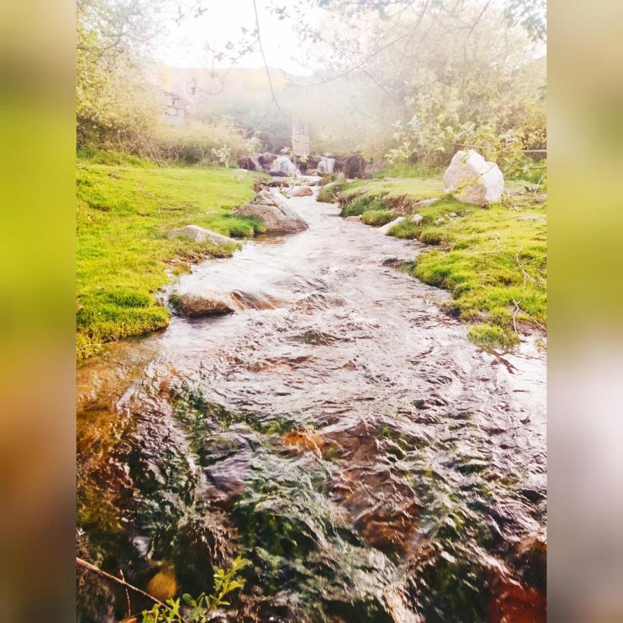 El Eden De Javier Pension Robledillo Buitenkant foto
